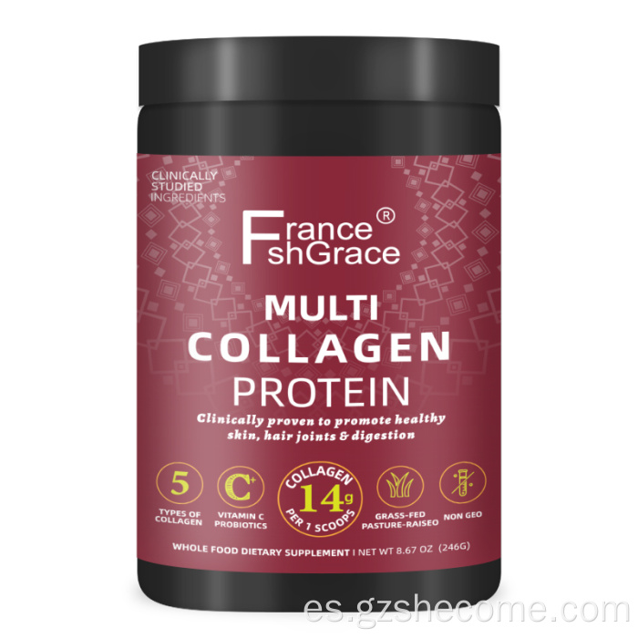 Colágeno hidrolizado con probióticos en polvo de colágeno múltiple